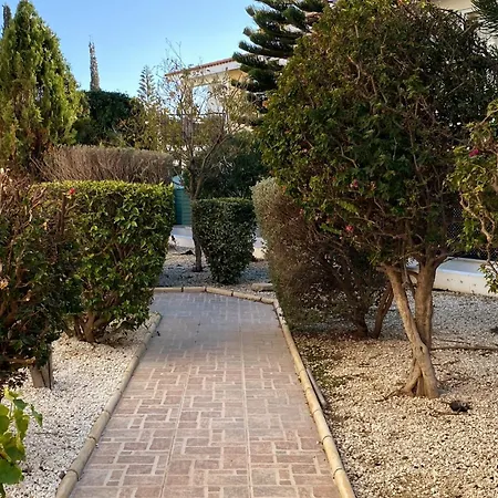 Danaos Seaside 002 With Pool In Tourist Area דירה *