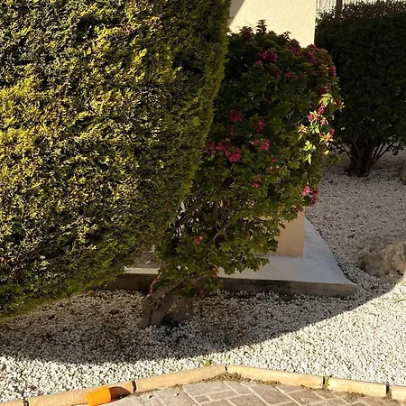 Danaos Seaside 002 With Pool In Tourist Area דירה